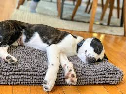 Smart Pet Mat in use